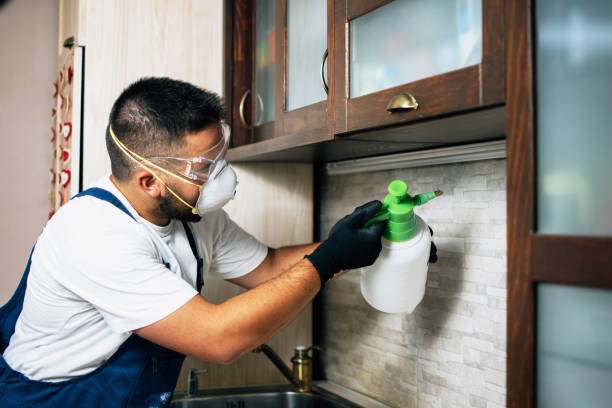 Best Mosquito Control Services  in Arcola, VA