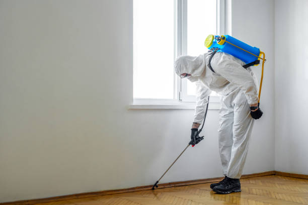 Best Local Pest Control Services  in Arcola, VA